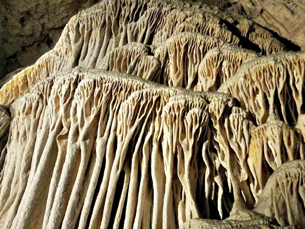 Carlsbad Caverns 4