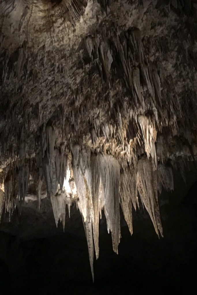 Ceiling of the big room at Carlsbad Caverns National Park