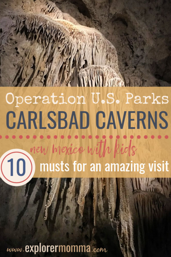 Visit Carlsbad Caverns with kids for an awe inspiring experience. Operation U.S. Parks #familytravel #carlsbadcaverns