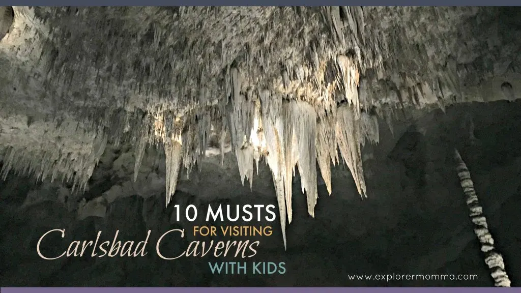 10 Musts for visiting Carlsbad Caverns National Park with kids