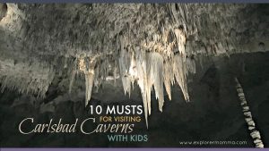 10 Musts for visiting Carlsbad Caverns with kids