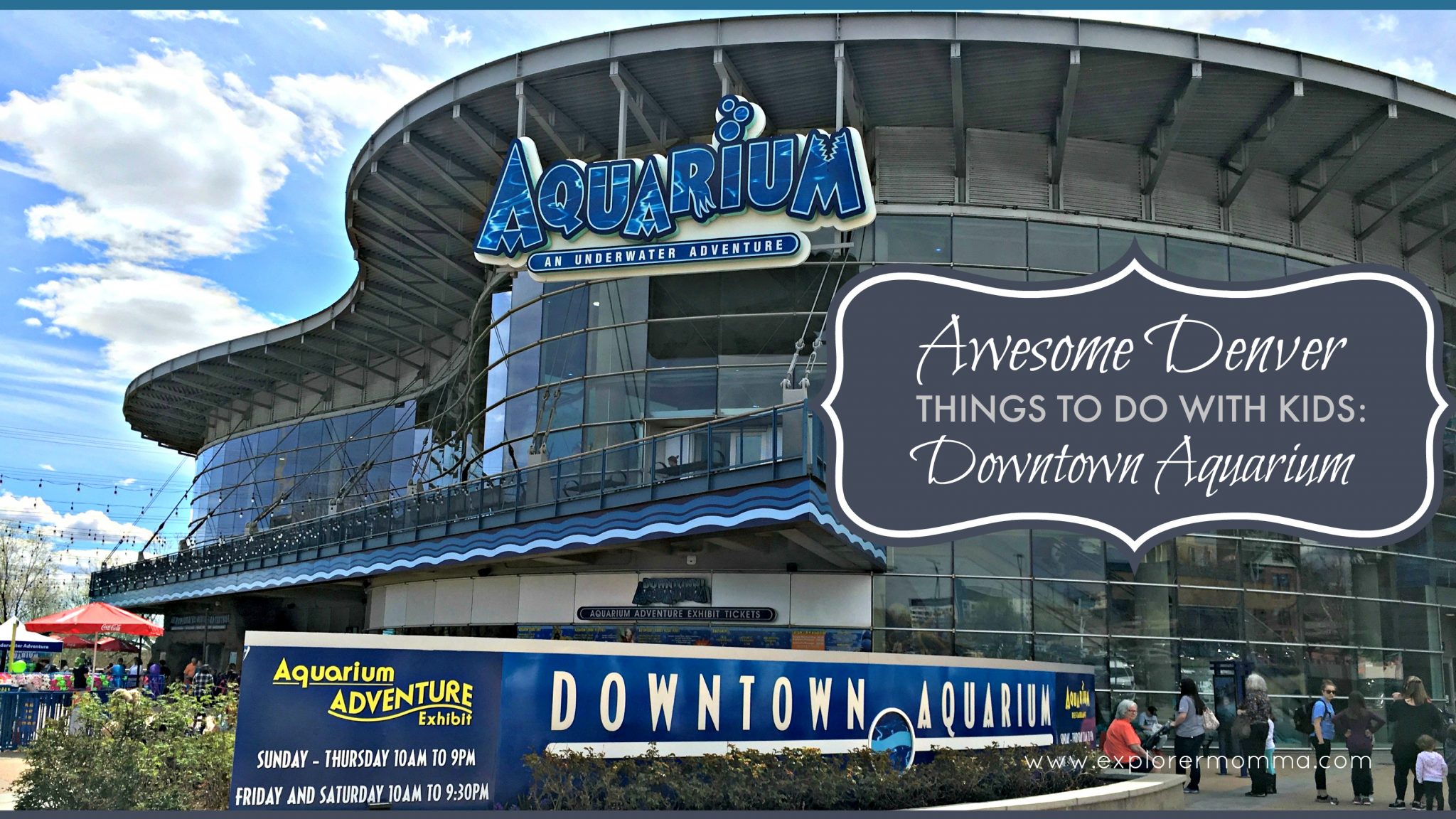 Denver Things to Do with Kids: Downtown Aquarium - Explorer Momma