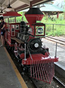 Zoo train