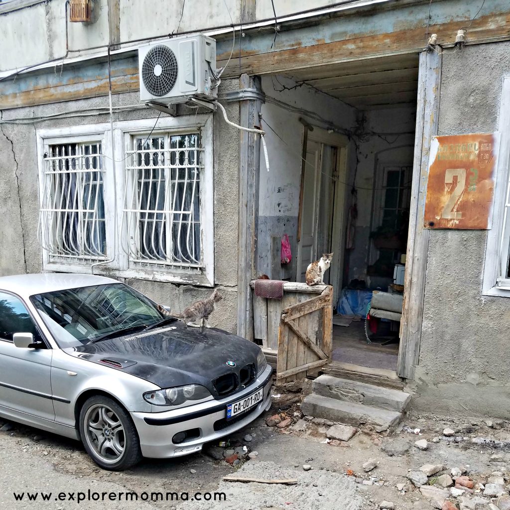 Tbilisi, Georgia, Cat in a doorway