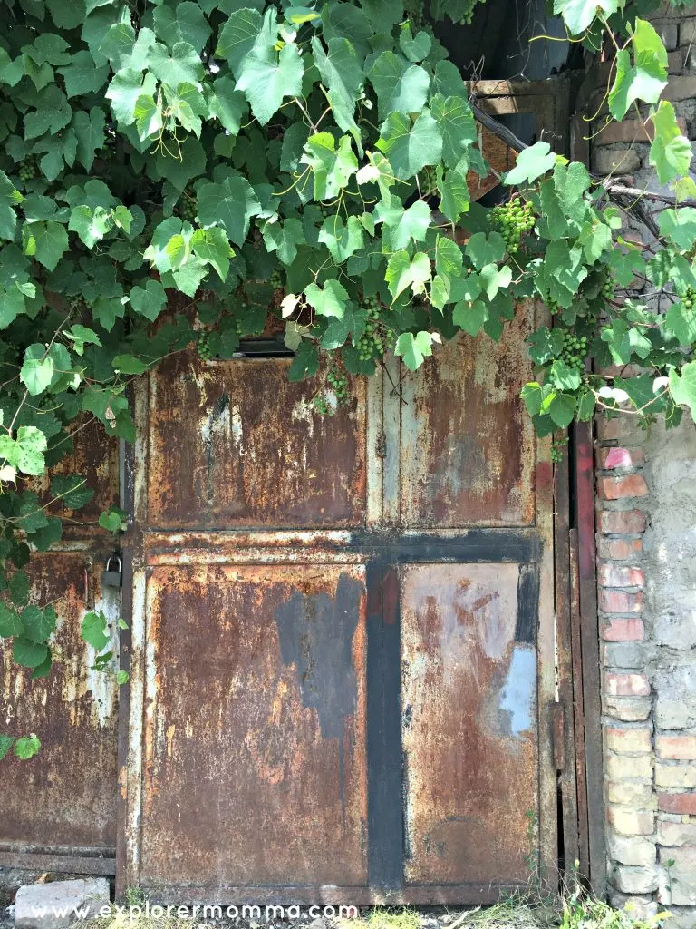 Door with grapevines