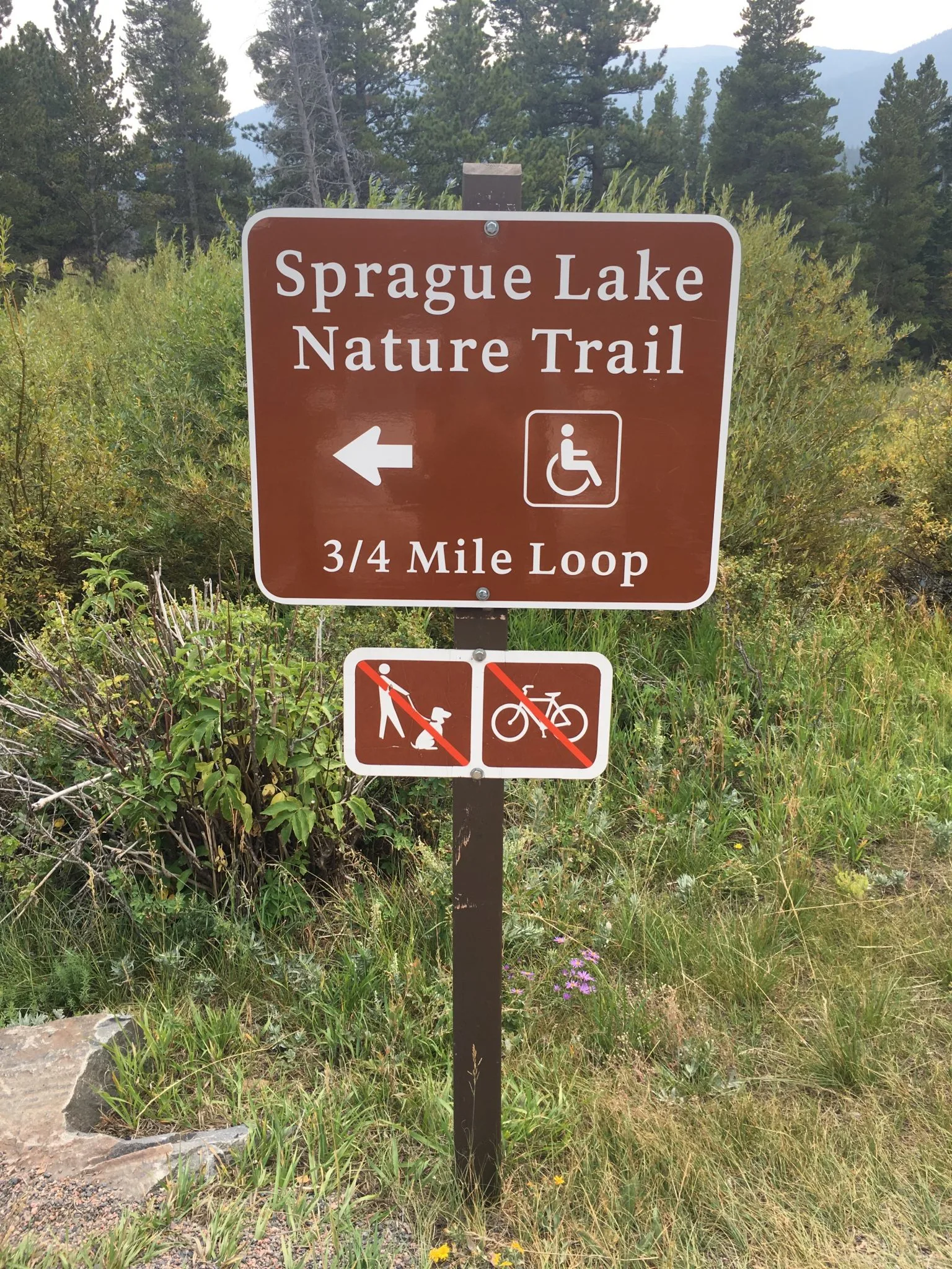 Estes Park hikes for kids, Sprague