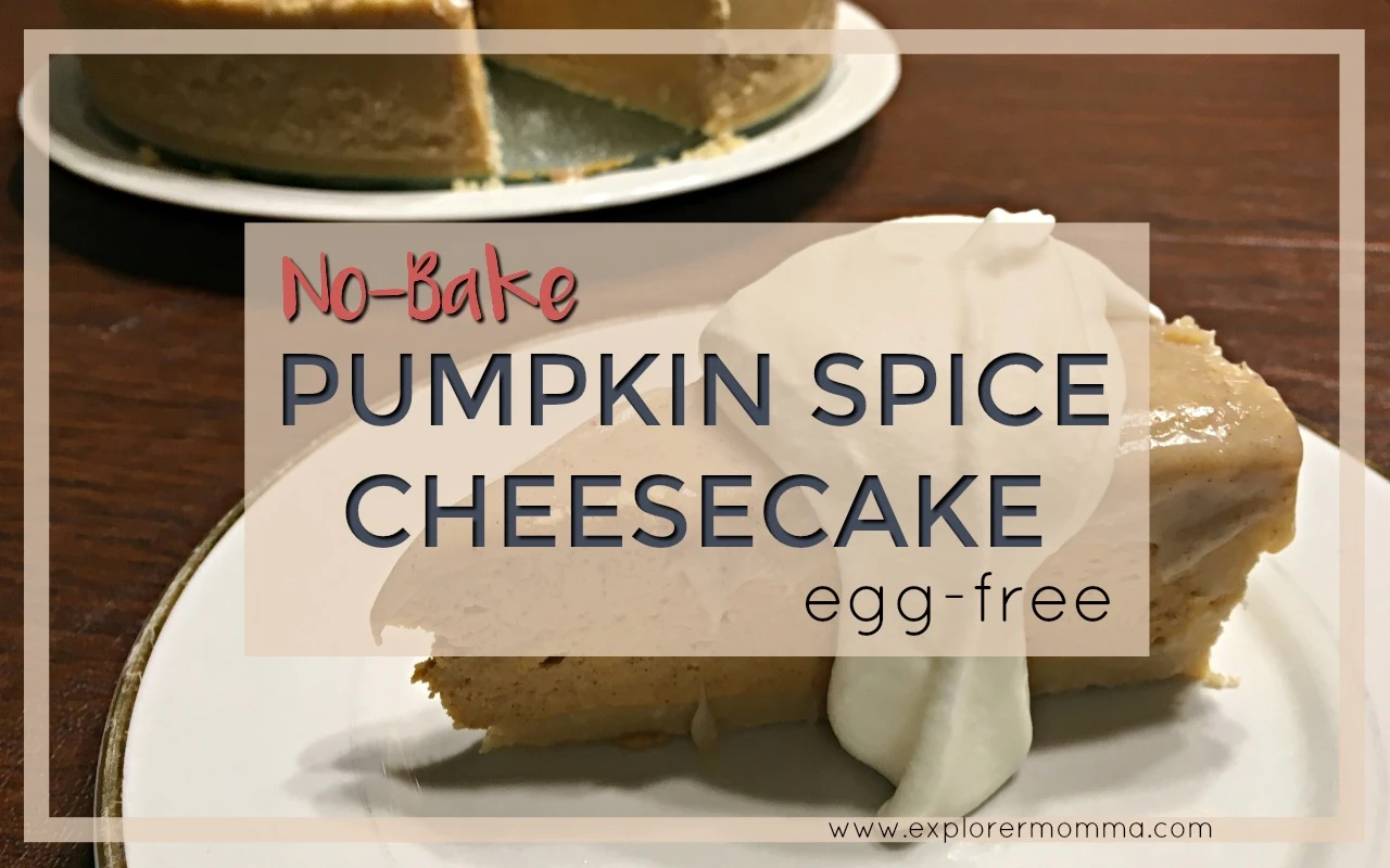 No-bake pumpkin spice cheesecake feature