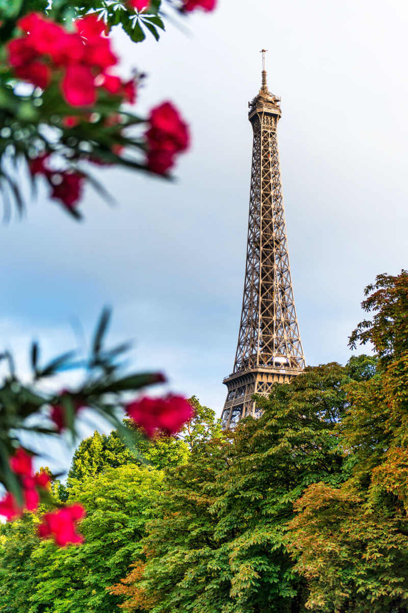 Printable French Valentine Cards, Eiffel Tower