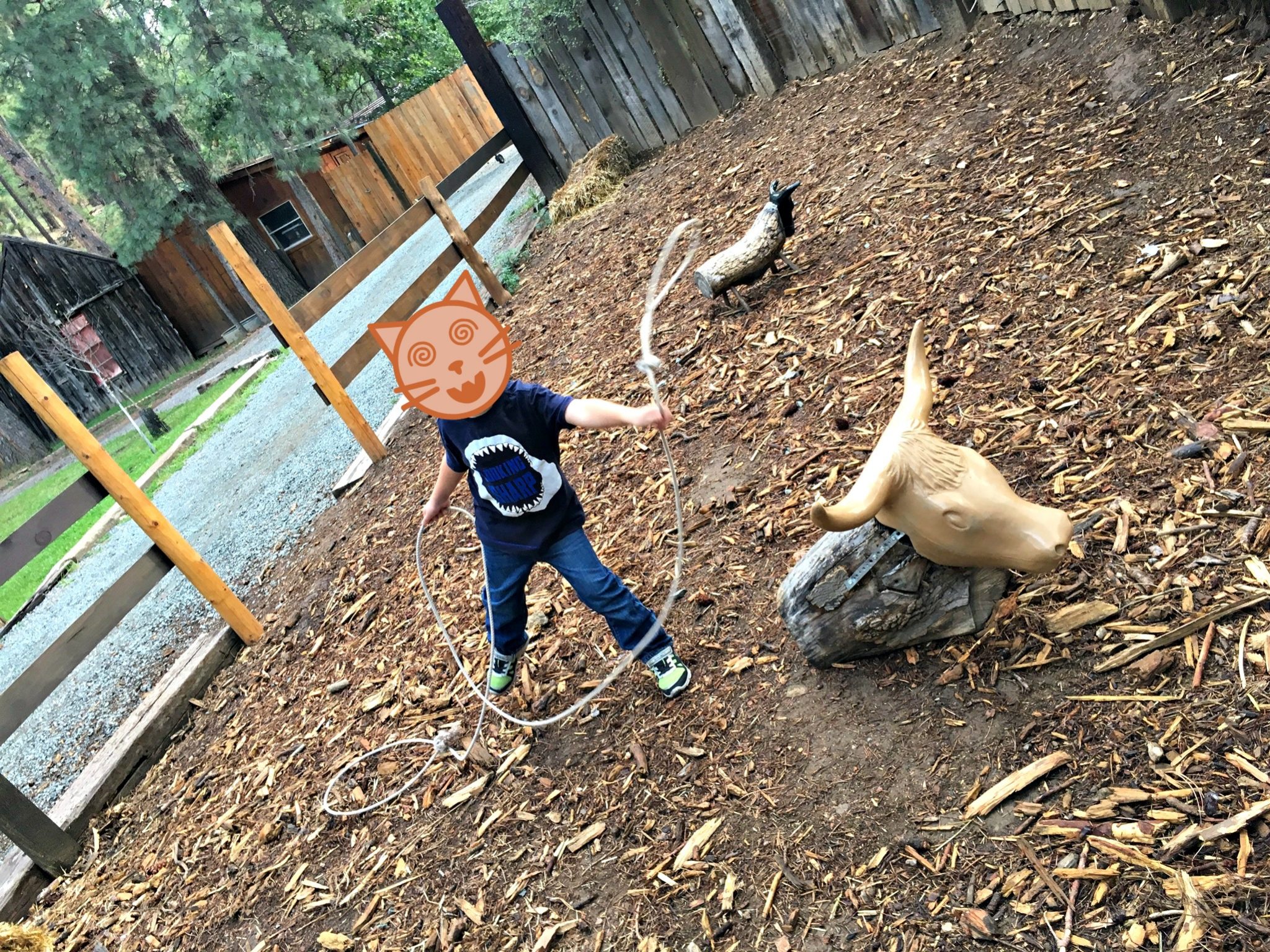 Top 10 Things To Do In Ruidoso, New Mexico With Kids Explorer Momma