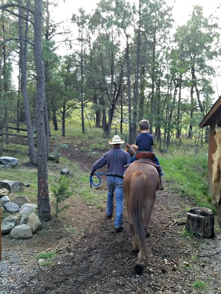 Things to do in Ruidoso, New Mexico horse
