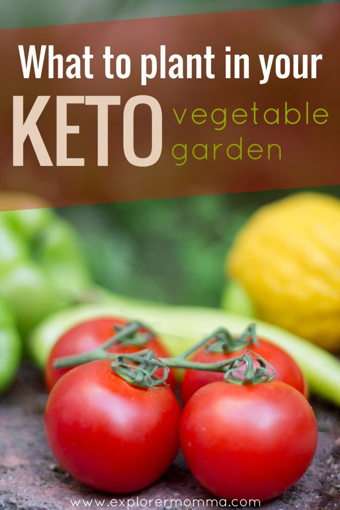 What to plant in a keto vegetable garden? Are you planning a keto garden, what is a ketogenic garden, and are there keto friendly vegetables? Yes! #ketogarden #ketovegetables