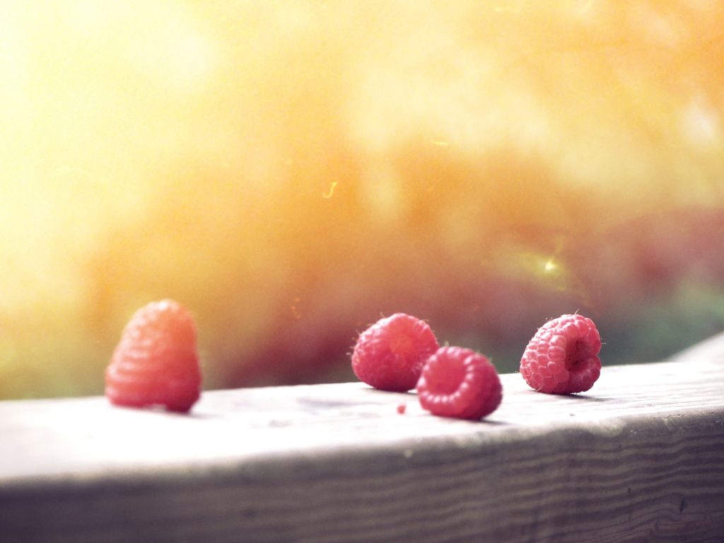 Raspberries on a fence in the sun