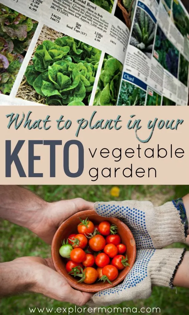What to plant in your keto vegetable garden. Plan your keto garden for spring and reap the keto friendly vegetables you love! #ketogarden #ketogenicgarden