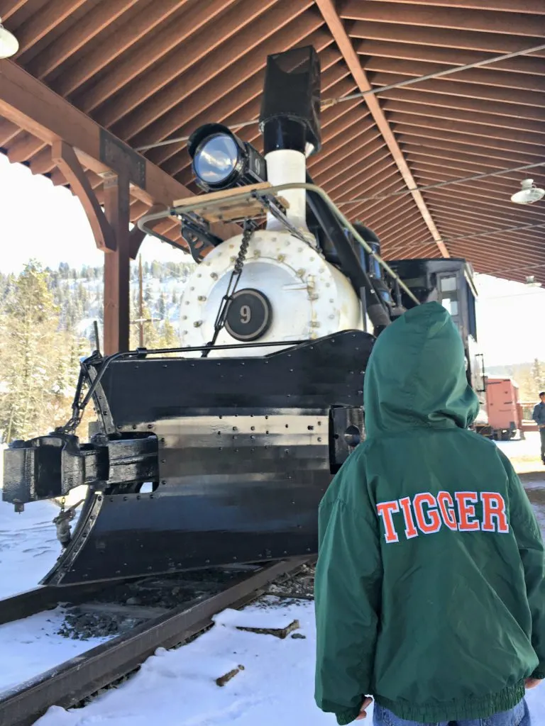 Breckenridge narrow gauge steam engine