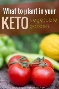 Keto vegetable garden, tomatoes