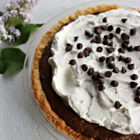 Low carb chocolate pie, closeup, vertical