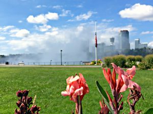Flowers with Niagara Falls mist in the background. #operationusparks #explorermomma