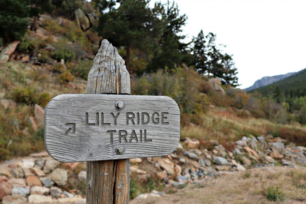 Lily Ridge Trail with free US National Parks pass