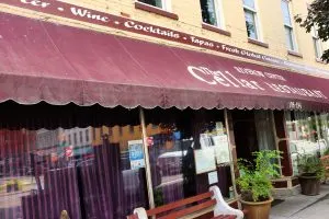 The Cellar Restaurant Owego NY #myflxtbex #ketorestaurant #experiencetioga #explorermomma
