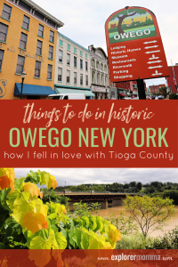 Things to do in Owego New York. Reasons to love Tioga County. #experiencetioga #artstrailtioga #15thingsowego #belikebelva #iloveny #myflxtbex #tbex