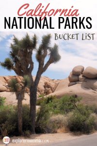 California National Parks Bucket List | Tips for amazing family travel to the Redwoods, Yosemite, and more! #californianationalparks #familytravel