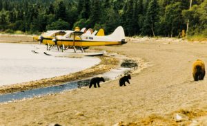 Katmai National Park, Northern States National Parks, Alaska #katmainationalpark #familytravel