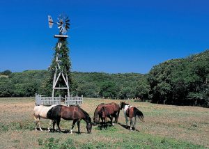 Mahoney State Park, Nebraska #familytravel #nebraskaactivities