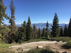 Sequoia National Park, California National Parks Bucket List #sequoianationalpark #familytravel