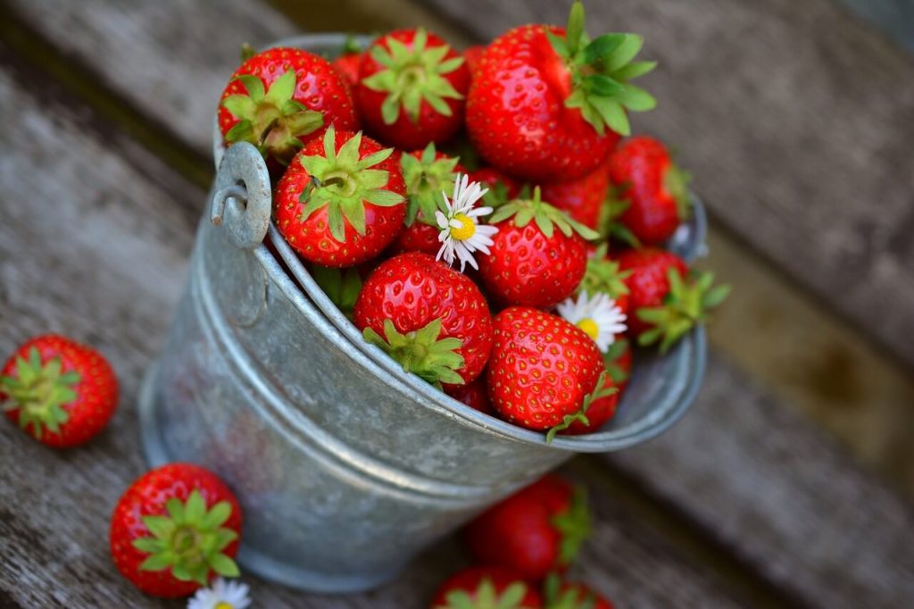 Strawberries in a tin pail. Buy Organic berries. #strawberries #ketolife