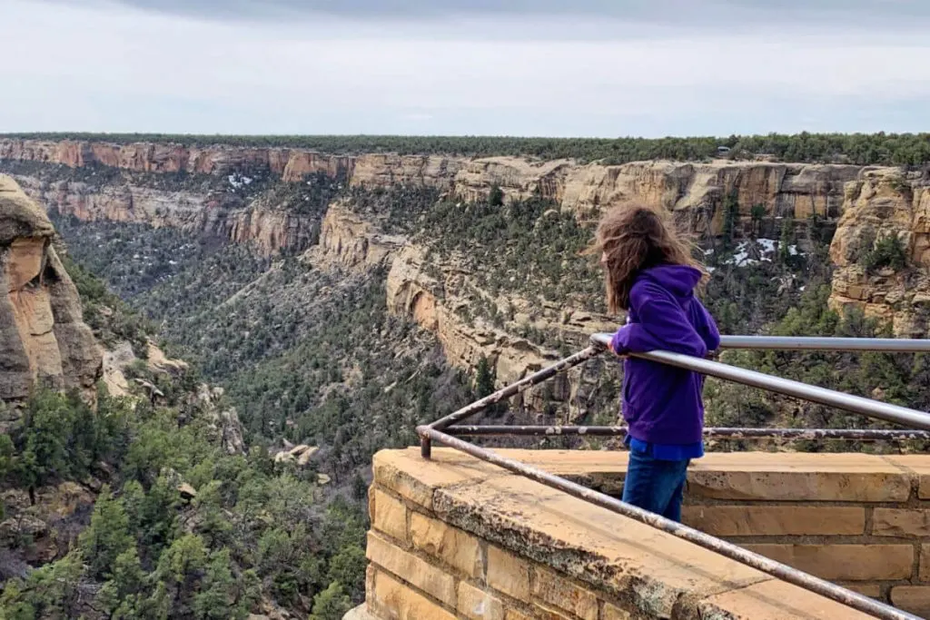 Looking out at Mesa Verde NP, towards Cliff Palace #mesaverde