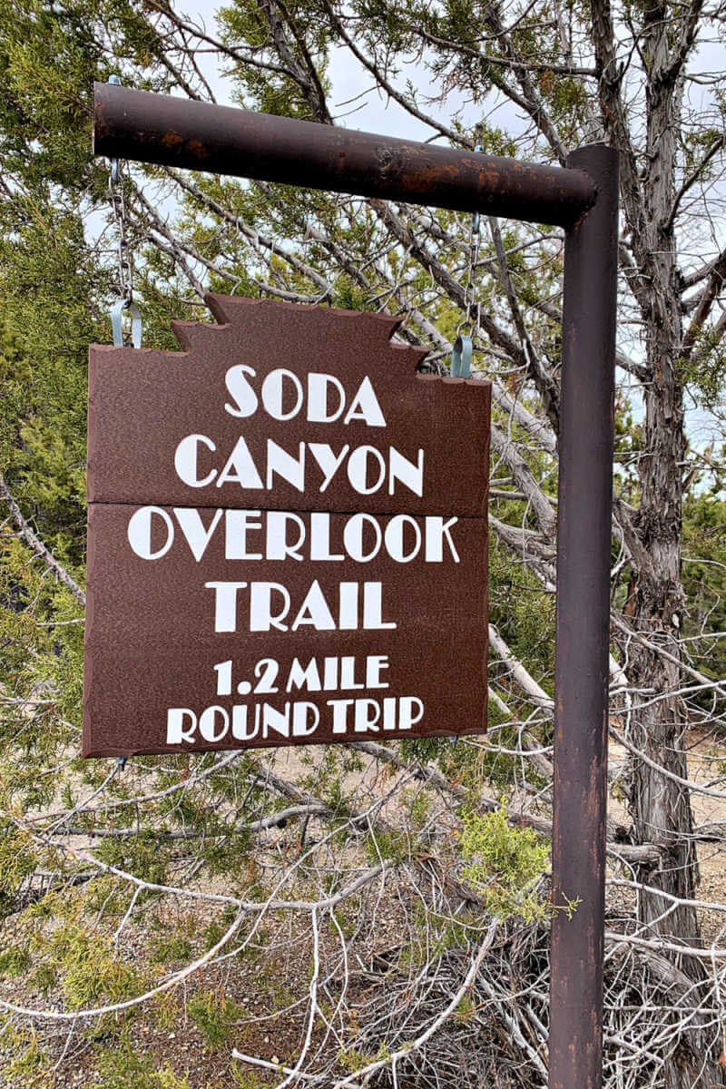 Soda Canyon Overlook Trail, Mesa Verde #familytravel #mesaverde