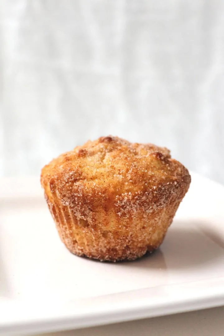 Keto snickerdoodle muffin on a white plate