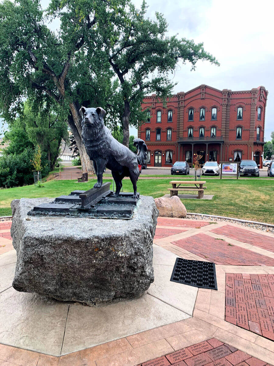 Shep the dog statue, things to do in Fort Benton, Montana