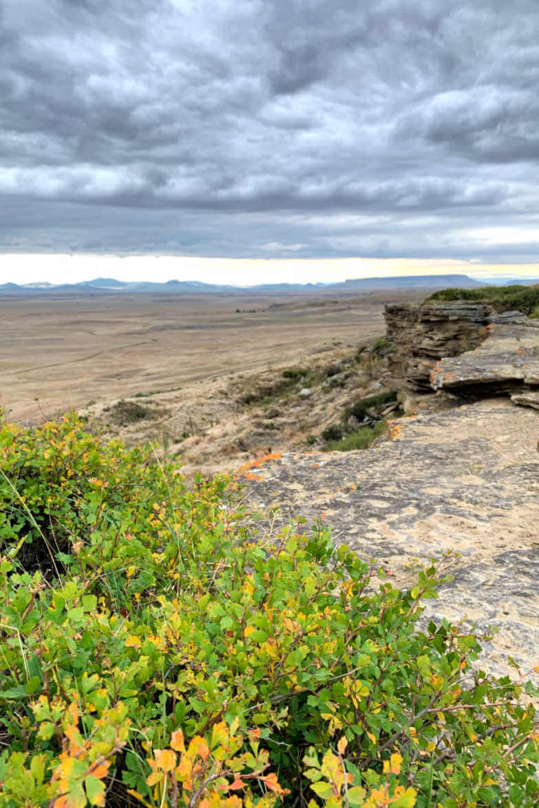 Buffalo Jump State Park, Things to do in Great Falls MT #buffalojumpstatepark #greatfallsmt