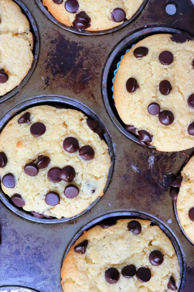 Keto chocolate chip muffins baked overhead view