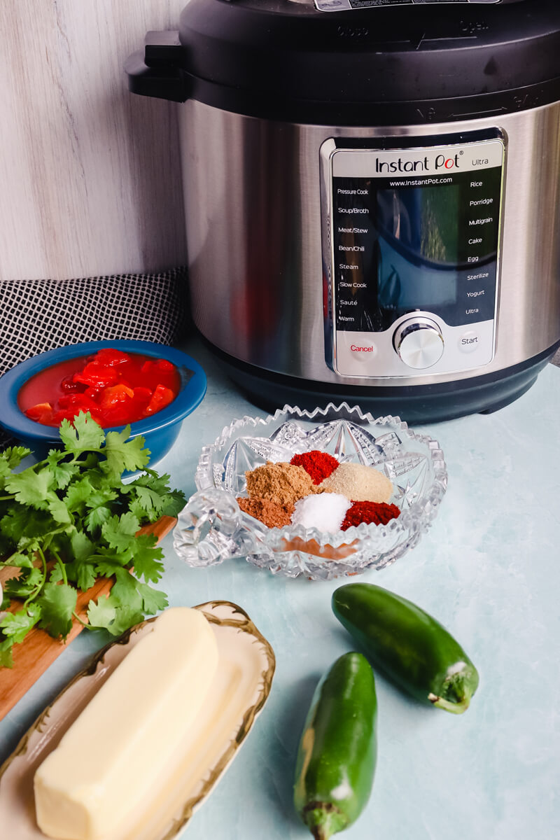 Easy Keto Butter Chicken Instant Pot Version - Explorer Momma