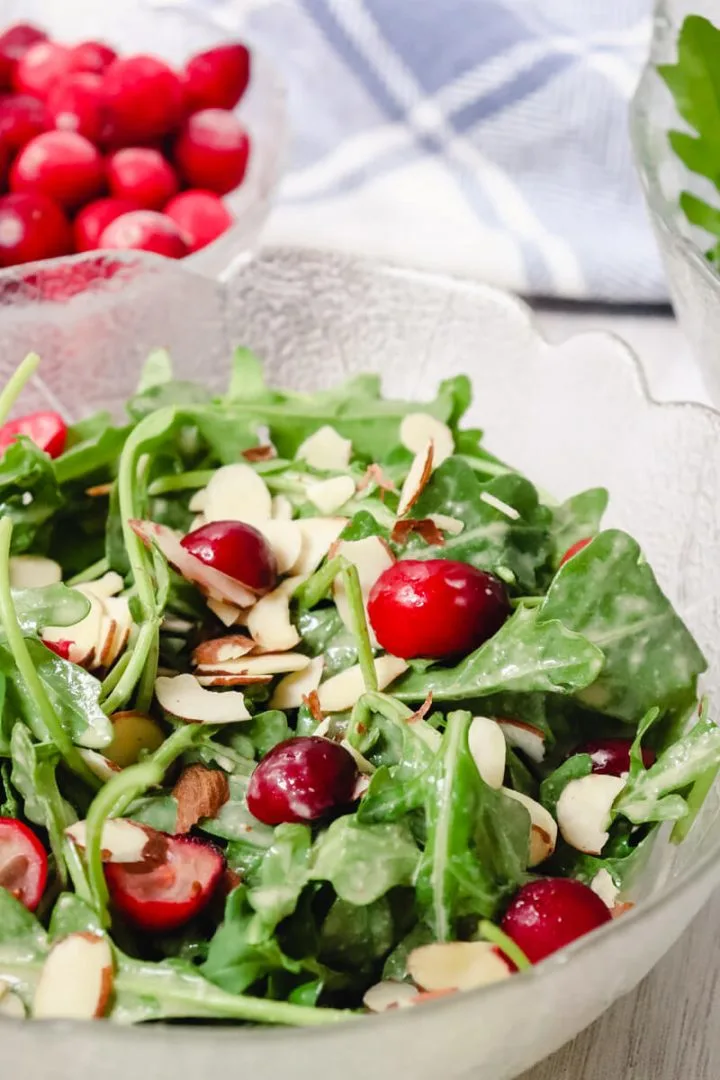 Almonds and cranberries on keto tahini dressing salad
