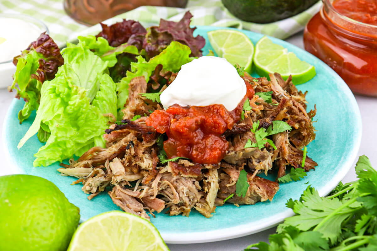 Easy Instant Pot Keto Carnitas Explorer Momma