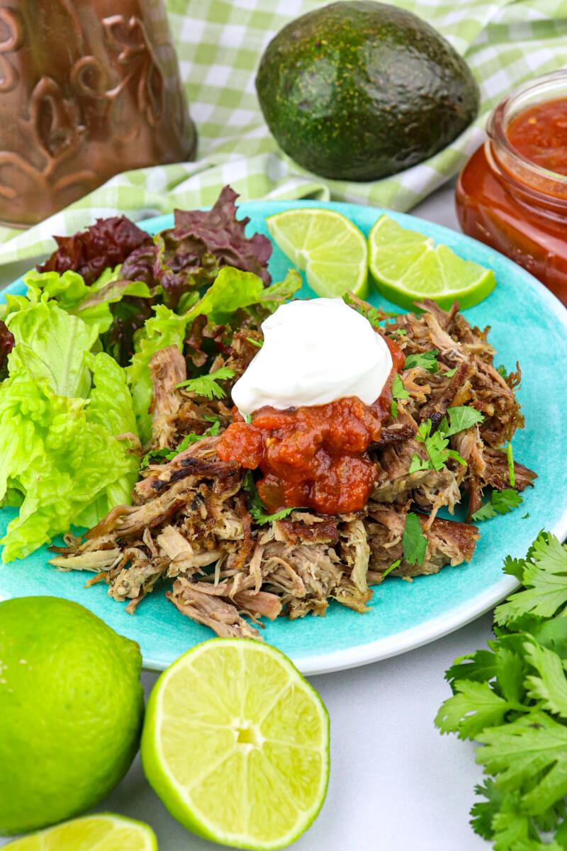 Easy Instant Pot Keto Carnitas Explorer Momma