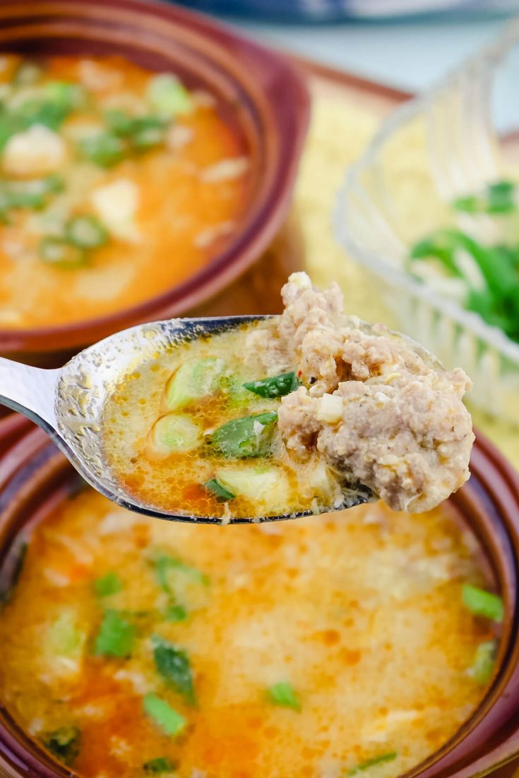 Spoon of keto hot and sour soup