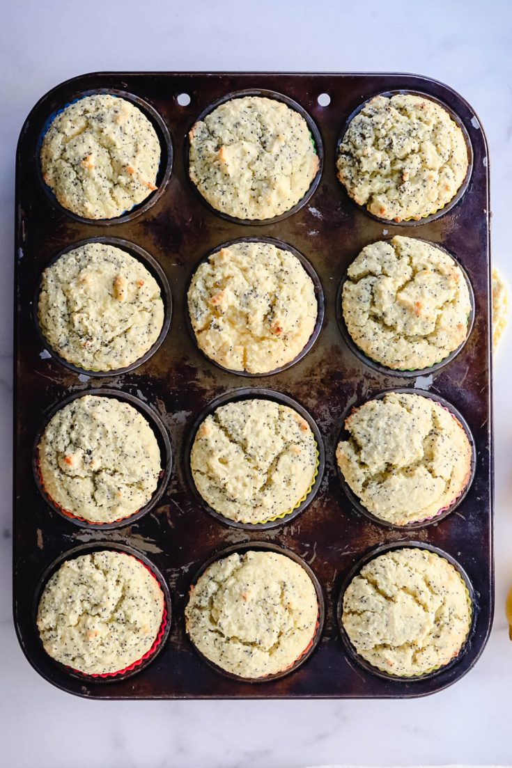 Overhead view of baked lemon poppy seed muffins low carb