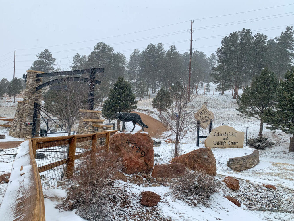 Colorado Wolf and Wildlife Center