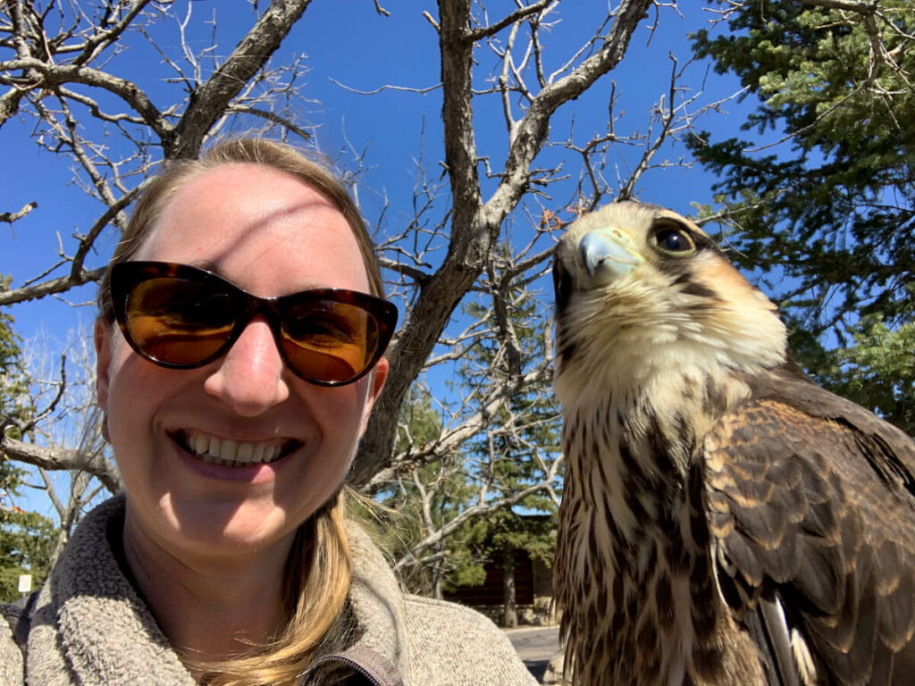 Falcon selfie