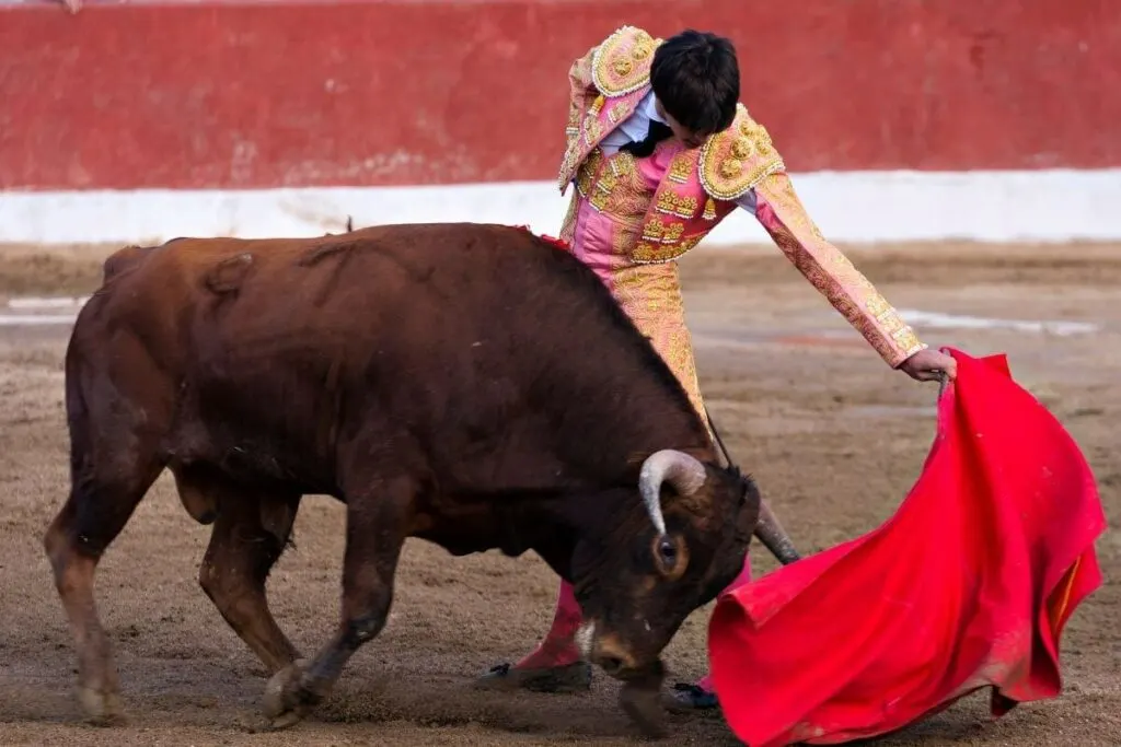 The matador bullfighter and bull