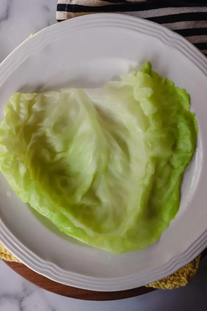 Cabbage leaf on a plate