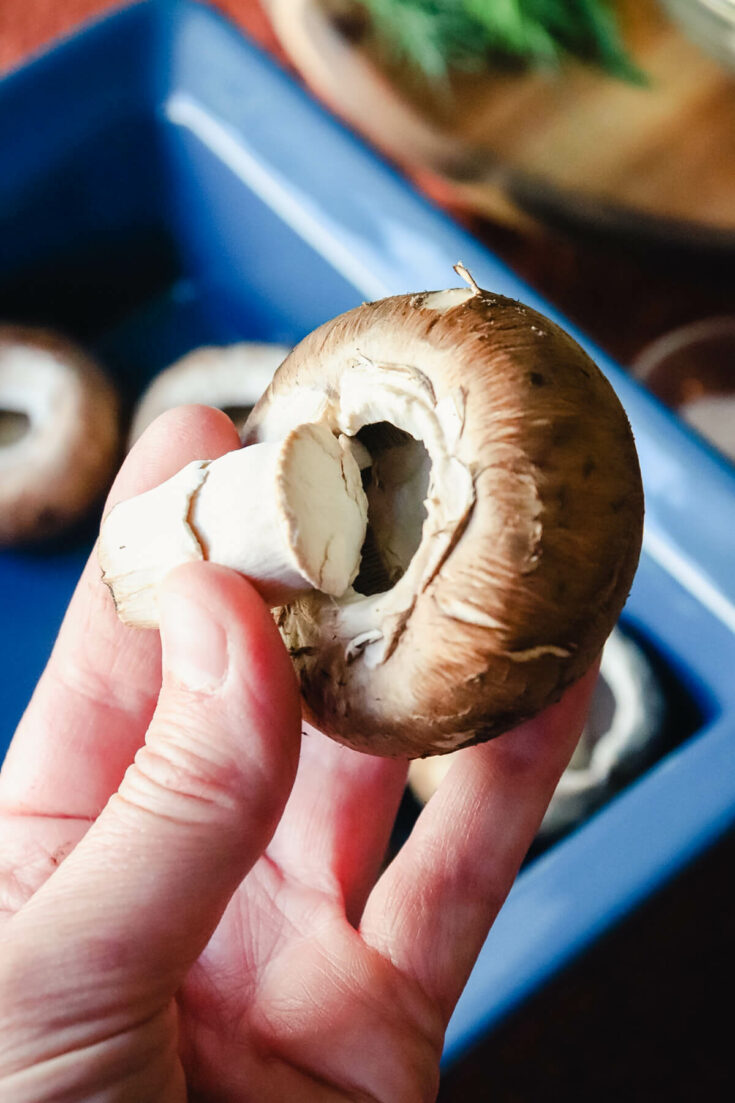 Mushroom with stem removed