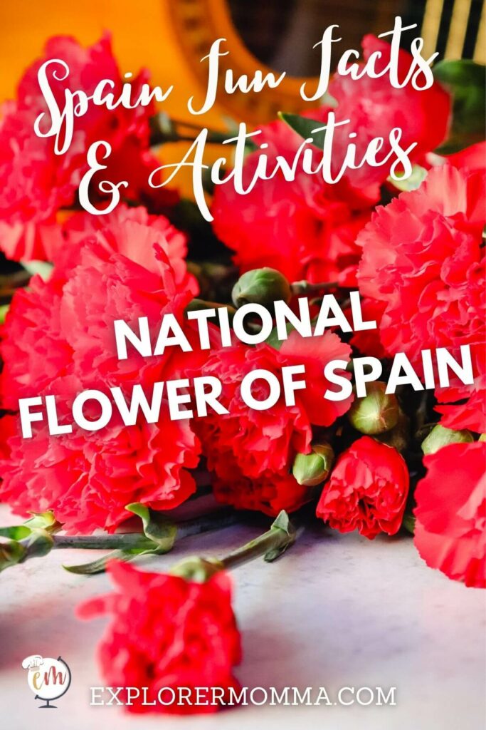 Red carnations in front of a guitar, the national flower of Spain