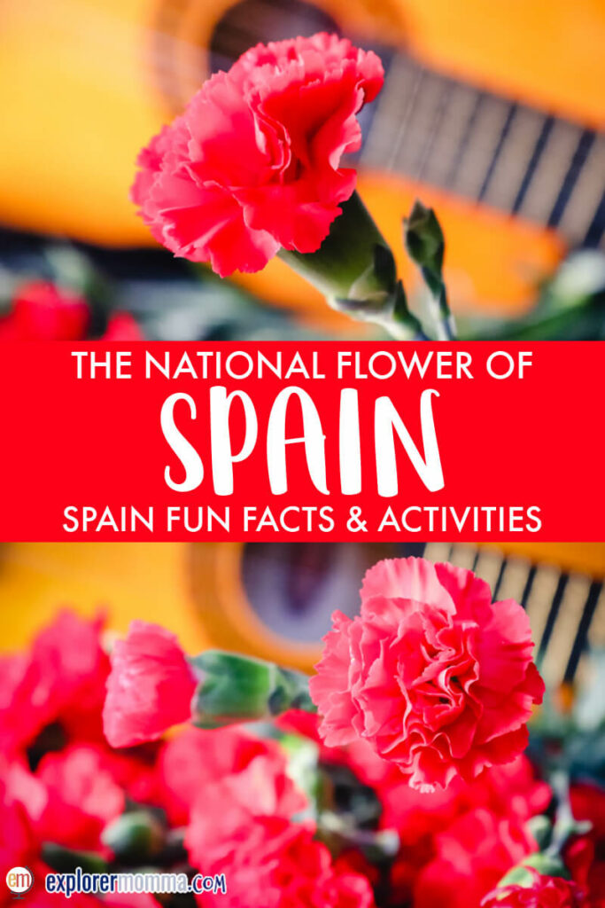 Red carnations in front of a guitar, the national flower of Spain