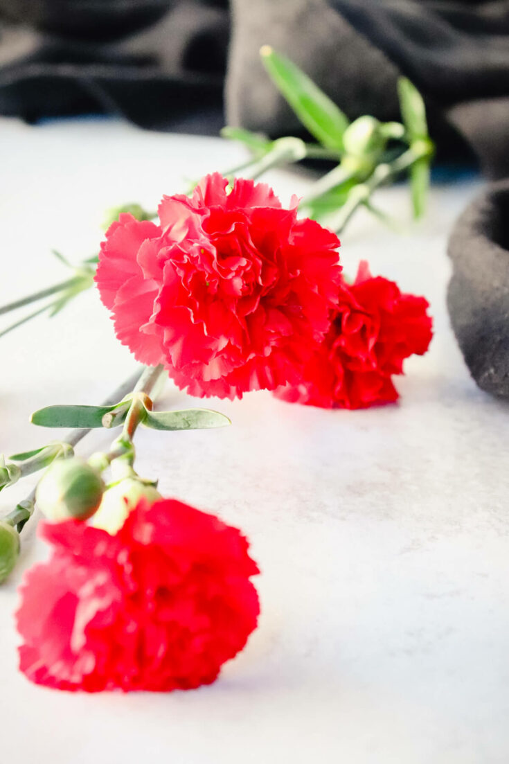 Red carnations on a table