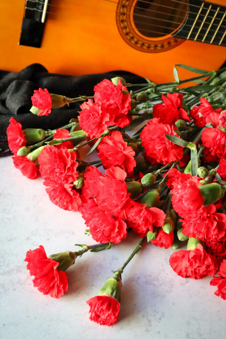 A bouquet of red carnations in front of a guitar